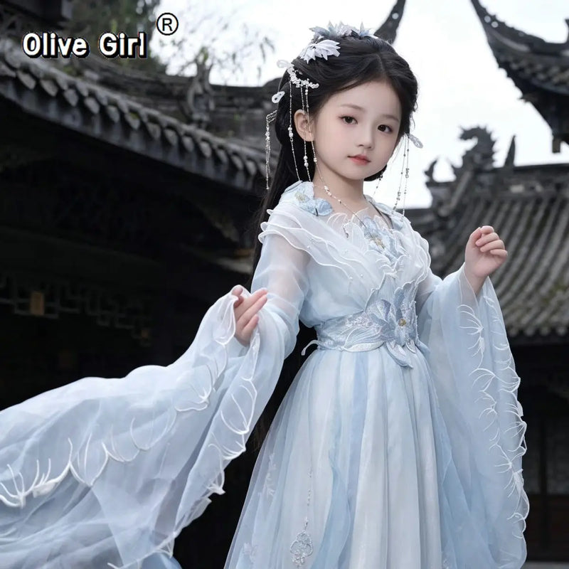 Olive Girl Red Embroidered Hanfu Dress for Ren Faire 2026 Garden Wedding Fairycore Photoshoot Everyday Wear S-XL XS-3XL Plus Size Embroidered Flowing Sleeve Romantic Garden Party Editorial Not Costume Ren Faire Dress Chinese Heritage Fashion Women