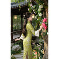 Autumn and Winter Long Sleeve Chiffon Embroidered Brocade Qipao Dress