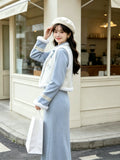 Plush Embroidered Vest Dress Set Unique Beautiful Gentle and Stylish Modified Cheongsam for Winter 2026