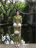 Dress 2026 Autumn and Winter Fleece Cheongsam Qipao Skinny Improved Versatile Playful Cute Dress