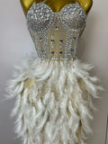 Women Sexy Elegant Evening Party Luxury Birthday Photo Shoot Performance Costume Sparkly Rhinestone Feather Mesh Long Dress