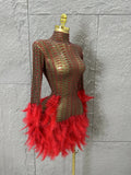 Red Pink Slim-fit Feather-Trimmed Sheer Dress Sexy Performance Costume Dance Party Singer Stage Nightclub Luxury Outfit