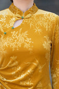 Olivegirl Chinese Dress Qipao 2026 Spring Gold Improved Velvet Waist Long Daily Young Long-sleeved Cheongsam Dress