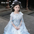 Olive Girl Red Embroidered Hanfu Dress for Ren Faire 2026 Garden Wedding Fairycore Photoshoot Everyday Wear S-XL XS-3XL Plus Size Chinese Heritage Fashion Women
