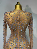 Luxury Rhinestones Mesh Bodycon Long Dress Celebrate Birthday Party Photo Shoot Long Sleeve Performance Costume Stage Outfit