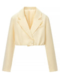 Two Piece Set for Women Strapless Spliced Fish Bone Vest with Lapel Long Sleeve Short Coat Hot Girl Suit Female New