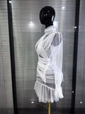 Women Long Sleeve Mesh See Through Bodycon Mini Dress Celebrate Vacation Beach Style Birthday Party Outfit