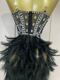 Women Sexy Elegant Evening Party Luxury Birthday Photo Shoot Performance Costume Sparkly Rhinestone Feather Mesh Long Dress