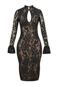 Solid Slimming Spliced Lace Fashion Dresses for Women Round Neck Long Sleeves Patchwork Hollow Out Dress Female New