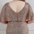 Plus Size Dress for Women Glitter Sequin Dresses Sexy Party Birthday Elegant Celebrity Floor Length Maxi Evening Dress