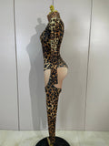 Sexy Sparkly Diamonds Leopard Print Bodycon Stretch Jumpsuit Women Eveing Party Nightclub Singer Dancer Stage Performance Outfit