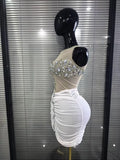 Women Sleeveless Sexy O-Neck Shining Crystal Bodycon Mini Dress Velvet Celebrate Evening Party Birthday Photoshoot Wear
