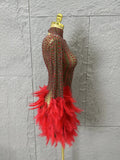 Red Pink Slim-fit Feather-Trimmed Sheer Dress Sexy Performance Costume Dance Party Singer Stage Nightclub Luxury Outfit