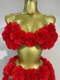 Women Sexy Red 3D Flowers Top Mini Dress Two Piece Set Eveing Party Girls Birthday Nightclub Stage Dress Holiday Photo Shoot Set