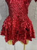Lady Fish scales shell sequins Scale Sequin Bodysuit HighNeck Short Sleeve Ruffle Skirt Costume For Women Nightclub Stage Wear