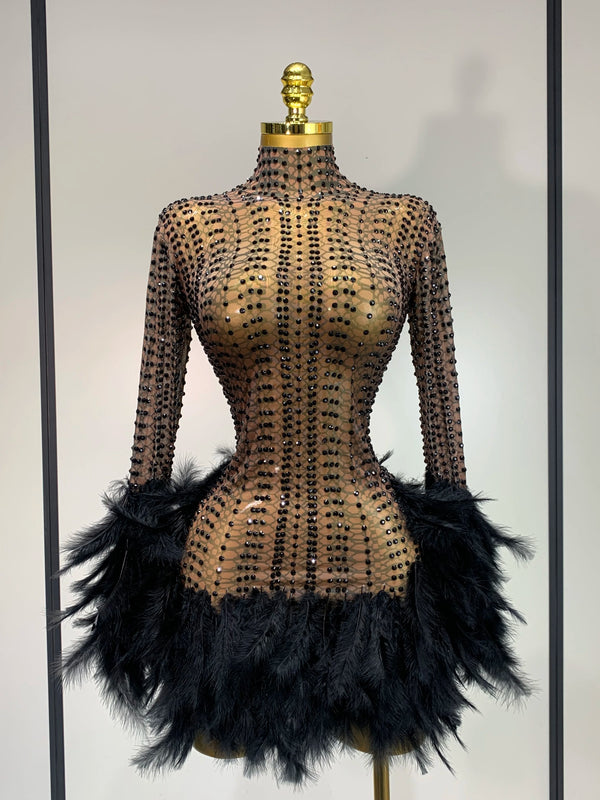 Women Sexy Transparent Stretch Mesh Feathers Stage Performance Costume Singer Nightclub Evening Party Luxury Birthday Dress