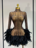Women Luxury Birthday Dress Rhinestones Mesh Feathers Bodycon Mini Celebrity Evening Club Party Dress Nightclub Stage Outfit