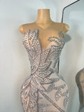 Sparkly Rhinestones Sleeveless Silver Long Dress For Women Sexy Mesh Transparent Evening Prom Birthday Gown Photo Shoot Wear