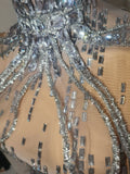 Luxury Silver Allover Rhinestone Mesh Dress Statement Choker Vertical Crystal Design Formal Events Photoshoots and Red Carpet