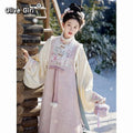 Ming Dynasty Autumn Winter Hanfu Chinese Dress Women's Clothing Horse Face Skirt Set Original Hanfu Cosplay Party Princess