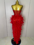 Women Sexy Elegant Evening Party Luxury Birthday Photo Shoot Performance Costume Sparkly Rhinestone Feather Mesh Long Dress
