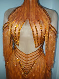 Women Latin Dance Outfits Bar Nightclub Party Club Stage Wear Sparkly Diamond Orange Tassel Long Sleeves Mesh Transparent Dress