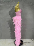 Sparkle Rhinestone Feather Sexy Mesh Long Dress Evening Party Birthday Performance Photoshoot Red Carpet Costume
