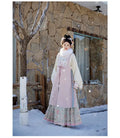Ming Dynasty Autumn Winter Hanfu Chinese Dress Women's Clothing Horse Face Skirt Set Original Hanfu Cosplay Party Princess