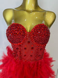 Women Sexy Elegant Evening Party Luxury Birthday Photo Shoot Performance Costume Sparkly Rhinestone Feather Mesh Long Dress