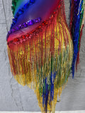 Luxurious Rainbow Fringe Dress with Rhinestone Detail and Single Sleeve Ideal Nightclub Women Carnival Party Rave Outfit