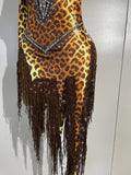 Sexy Leopard Print Stretch Dress Women Sparkly Rhinestones Tassel One Shoulder Latin Dance Outfits Nightclub Party Stage Costume
