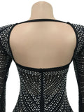 Open Back Glitter Sheer Mesh Party Maxi Dress for Women Fashion Full Sleeve Bodycon Sexy Club Long Evening Dress Vestidos
