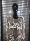 Sparkly Silver Diamond 3D Butterfly Sheer See Through Bodycon Jumpsuit Eveing Party Birthday Bar Nightclub Sexy Stage Costumes