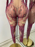 Sparkly Crystals Women Sexy with Sleeves Stretch Mesh See Through Jumpsuit Nightclub Stage Wear Performance Dance Costume