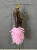 Red Pink Slim-fit Feather-Trimmed Sheer Dress Sexy Performance Costume Dance Party Singer Stage Nightclub Luxury Outfit
