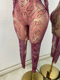 Sparkly Crystals Women Sexy with Sleeves Stretch Mesh See Through Jumpsuit Nightclub Stage Wear Performance Dance Costume