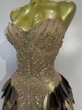 Women Sexy Strapless Mesh See Through Mini Dress Luxury Diamonds Leaf Birthday Evening Party PhotoShoot Nightclub Stage Costume