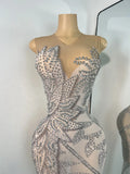 Sparkly Rhinestones Sleeveless Silver Long Dress For Women Sexy Mesh Transparent Evening Prom Birthday Gown Photo Shoot Wear