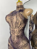 Sparkly Crystals Women Sexy with Sleeves Stretch Mesh See Through Jumpsuit Nightclub Stage Wear Performance Dance Costume