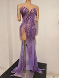 Sexy Sparkly Purple Diamond Tassel Strapless Mesh See Through Long Dress Birthday Evening Party Nightclub Bar DJ Show Stage Wear