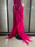 Sparkly Rhinestones Tassel Sheer Dress for Women Sexy V Neck Birthday Celebrate Event Outfit Singer Show Wear Photo Shoot Dress