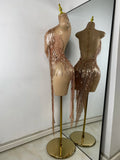 Sparkly Tassels Women Sexy High Split Sleeveless Mesh See Through Party Nightclub Birthday Dress Performance Costume Stage Wear