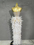 Sparkle Rhinestone Feather Sexy Mesh Long Dress Evening Party Birthday Performance Photoshoot Red Carpet Costume