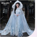 Olive Girl Blue Embroidered Hanfu Dress for Ren Faire 2026 Garden Wedding Fairycore Photoshoot Everyday Wear S-L XS-3XL Plus Size Chinese Heritage Fashion Women