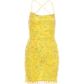 Beaded Tassel Dress Women Sequin 3d Flower See Through Backless Sleeveless Sexy Beach Party Midnight Mini Bodycon
