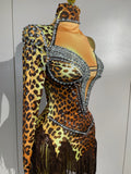 Sexy Leopard Print Stretch Dress Women Sparkly Rhinestones Tassel One Shoulder Latin Dance Outfits Nightclub Party Stage Costume