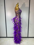 Sparkly Rhinestones Feather Sexy Bodycon Long Dress Women Luxury Birthday Evening Party Fashion Show Nightclub Stage Costume