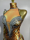 Sexy Leopard Print Stretch Dress Women Sparkly Rhinestones Tassel One Shoulder Latin Dance Outfits Nightclub Party Stage Costume