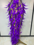 Sparkly Rhinestones Feather Sexy Bodycon Long Dress Women Luxury Birthday Evening Party Fashion Show Nightclub Stage Costume