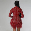 Sexy Pearls Rhinestone Party Dresses Women Elegant Nightclub Feather Birthday Dress Long Sleeve Mesh Sheer Bodycon Dress